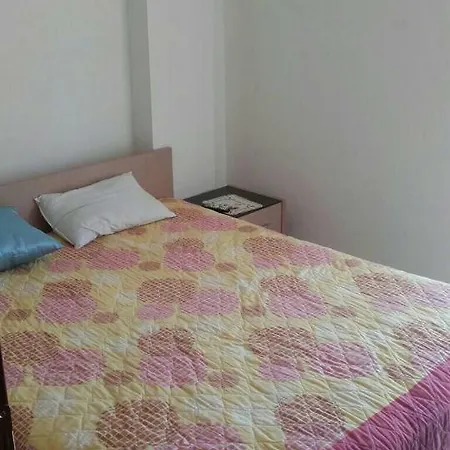Mezoneta Elani